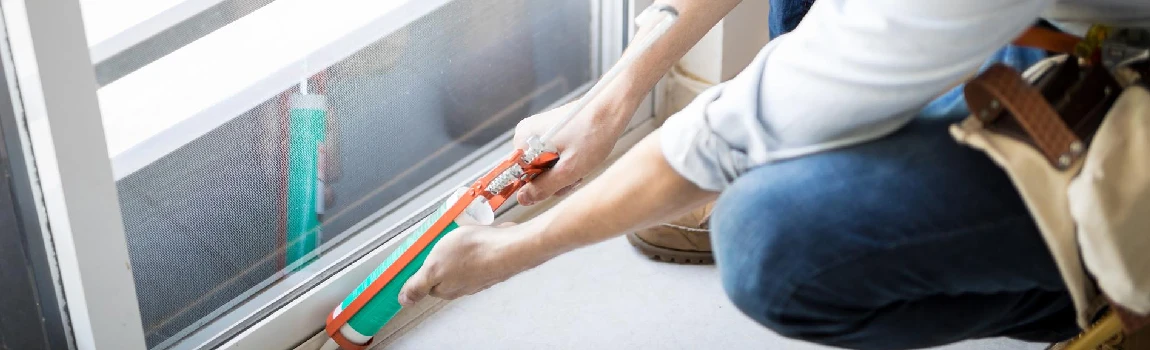 Emergency Window Replacement Services in Bloomingdale, FL
