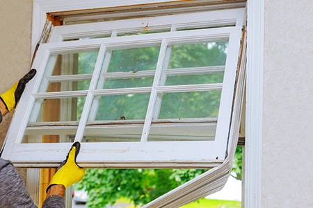 Window Replacement in Bloomingdale, FL